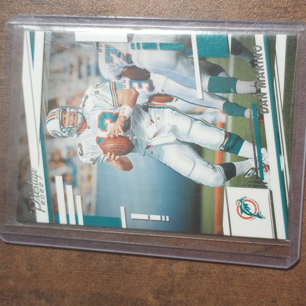 Miami Dolphins